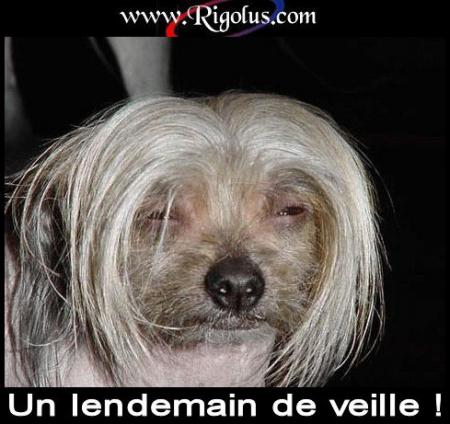 oui oui on voit çà!  lol